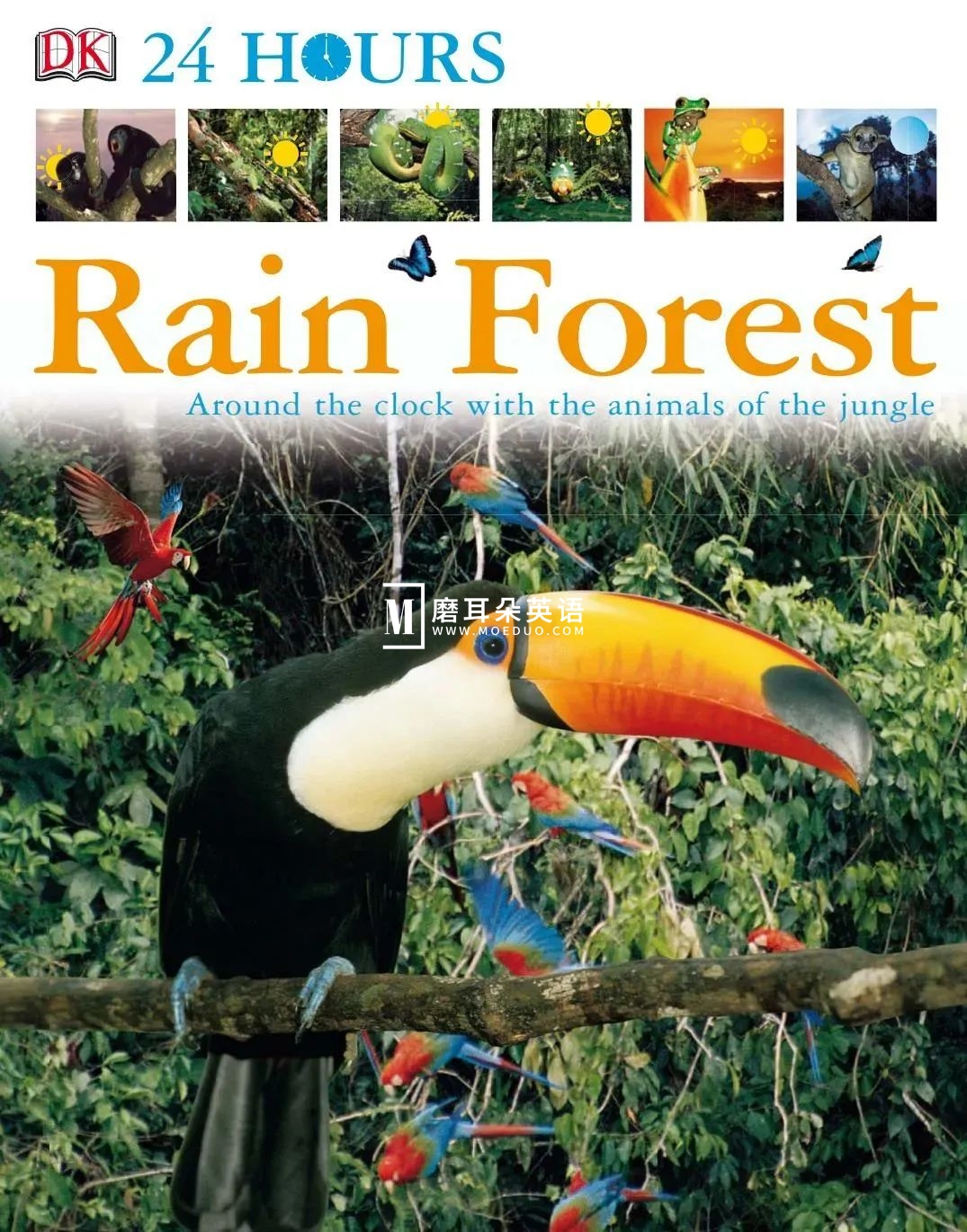 DK儿童百科全书 图片18 DK儿童百科全书 图片17