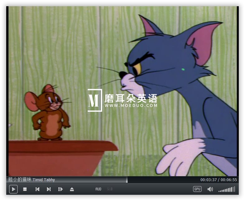 Tom and Jerry 猫和老鼠 图片42 Tom and Jerry 猫和老鼠 图片41