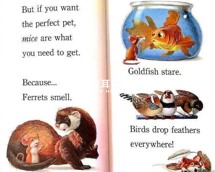 Step Into Reading 兰登分级读物 图片28 Step Into Reading 兰登分级读物 图片27