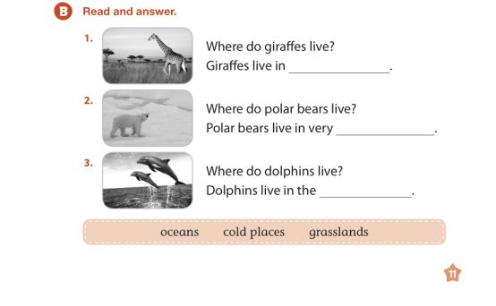American textbook 图片12 American textbook 图片11