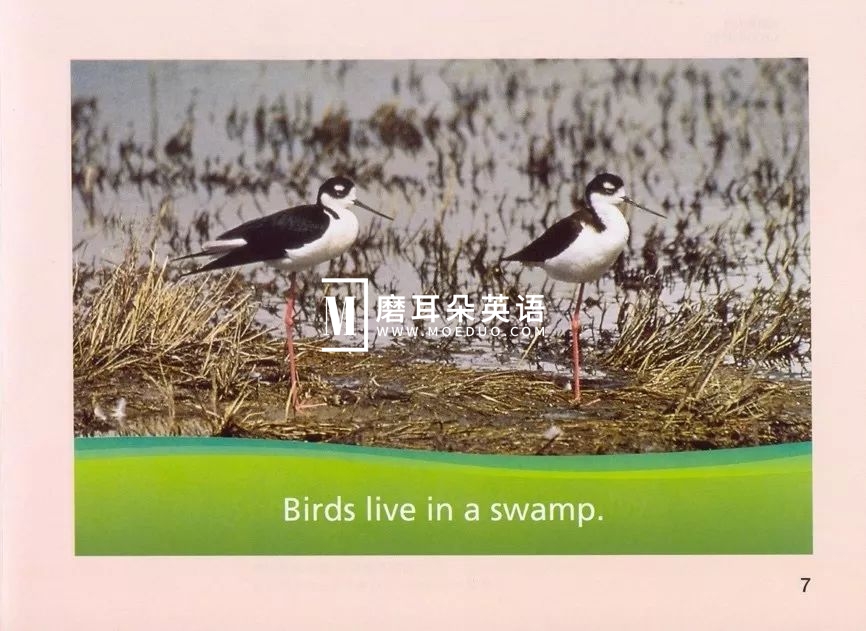 美国国家地理儿童百科 图片10 美国国家地理儿童百科 图片9