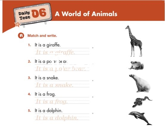 American textbook 图片10 American textbook 图片9