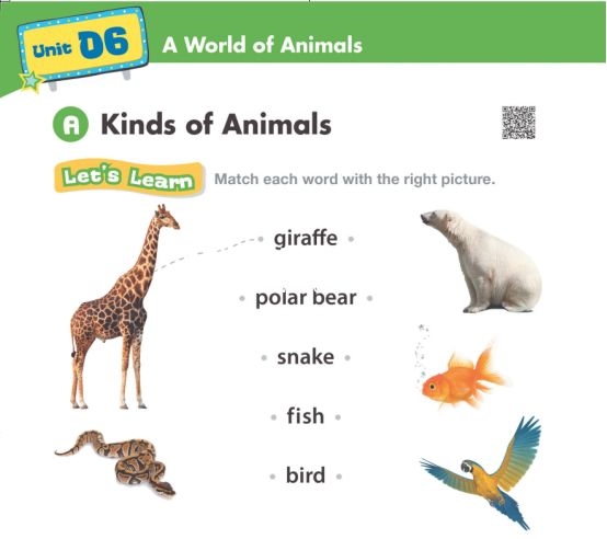 American textbook 图片4 American textbook 图片3