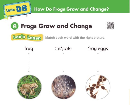 American textbook 图片18 American textbook 图片17