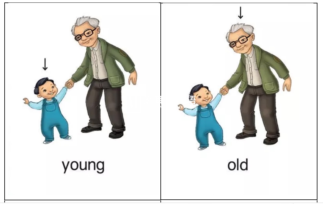 牛津单词闪卡 图片18 牛津单词闪卡 图片17