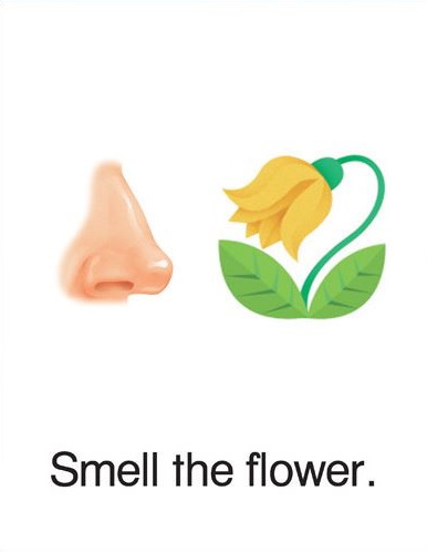 牛津单词闪卡 图片48 牛津单词闪卡 图片47