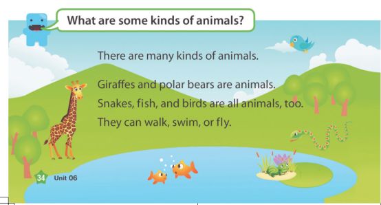 American textbook 图片6 American textbook 图片5