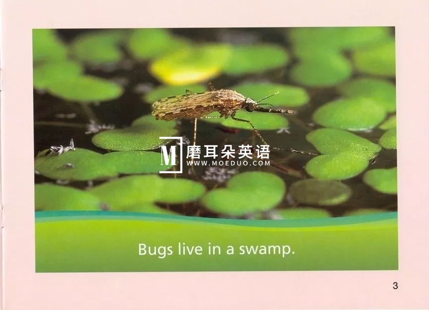 美国国家地理儿童百科 图片8 美国国家地理儿童百科 图片7