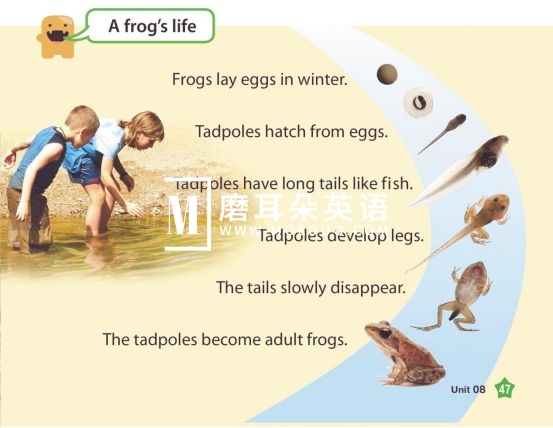 American textbook 图片16 American textbook 图片15