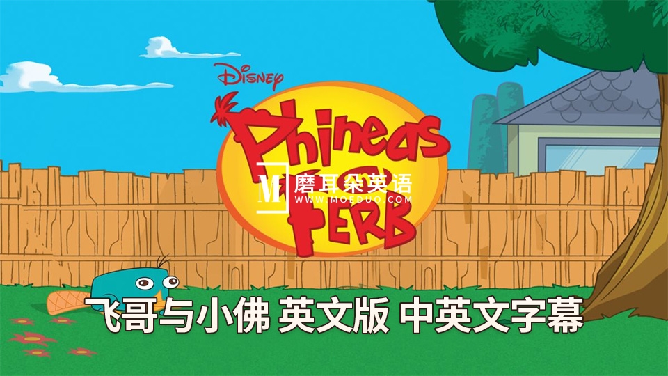 Phineas and Ferb 飞哥与小佛 图片2 Phineas and Ferb 飞哥与小佛 图片1