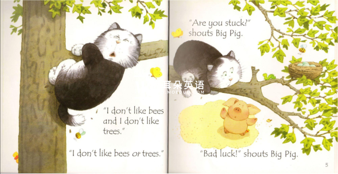 Usborne 斯伯恩自然拼读 图片16 Usborne 斯伯恩自然拼读 图片15