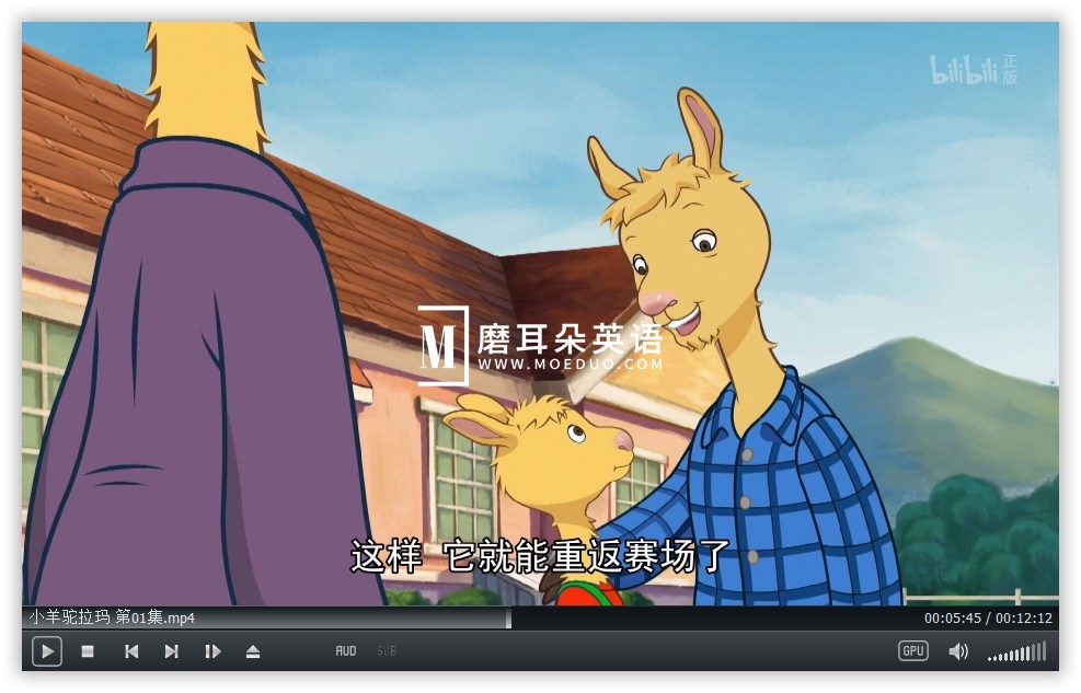 Llama Llama 小羊驼拉玛 图片10 Llama Llama 小羊驼拉玛 图片9