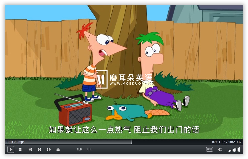 飞哥与小佛 图片18 飞哥与小佛 图片17