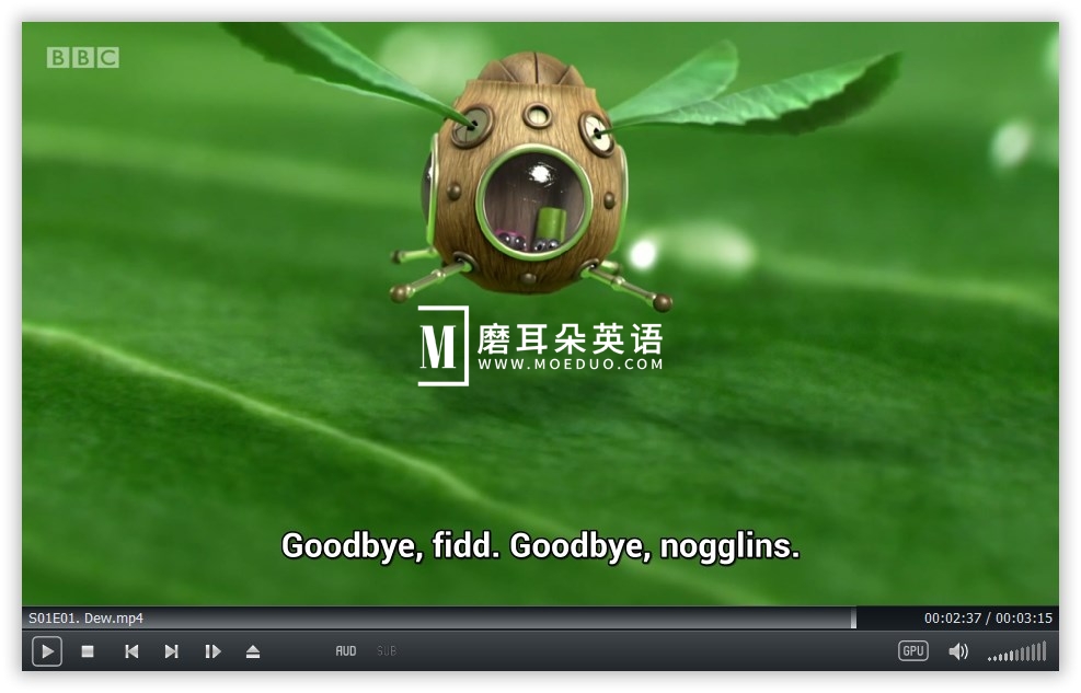 Tiny Wonders 图片8 Tiny Wonders 图片7