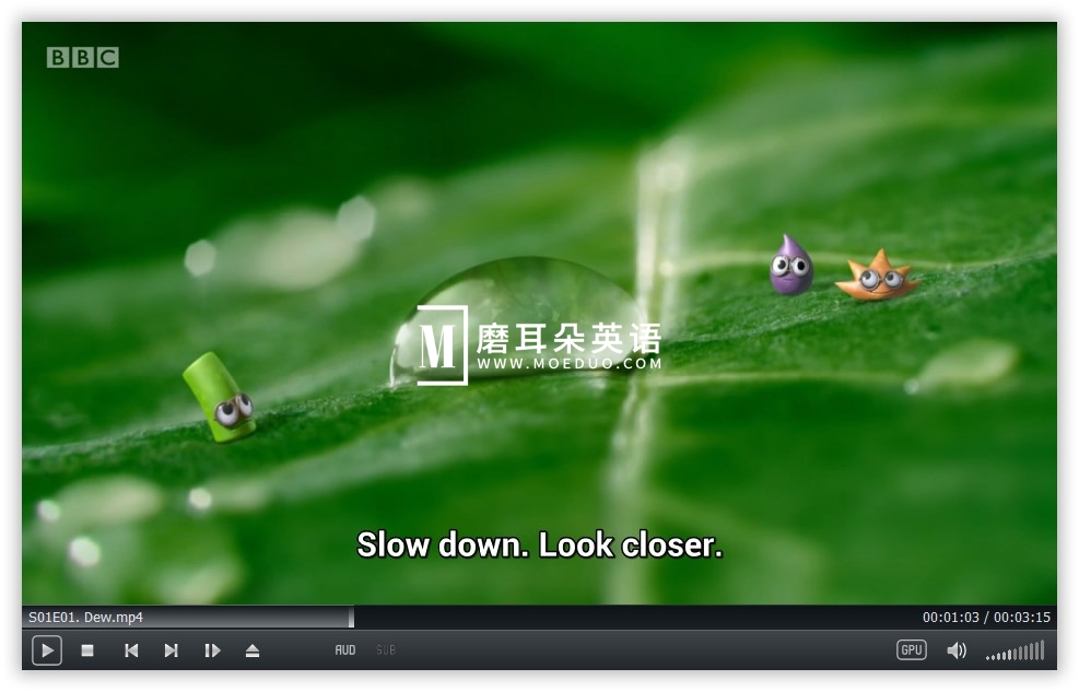 Tiny Wonders 图片6 Tiny Wonders 图片5