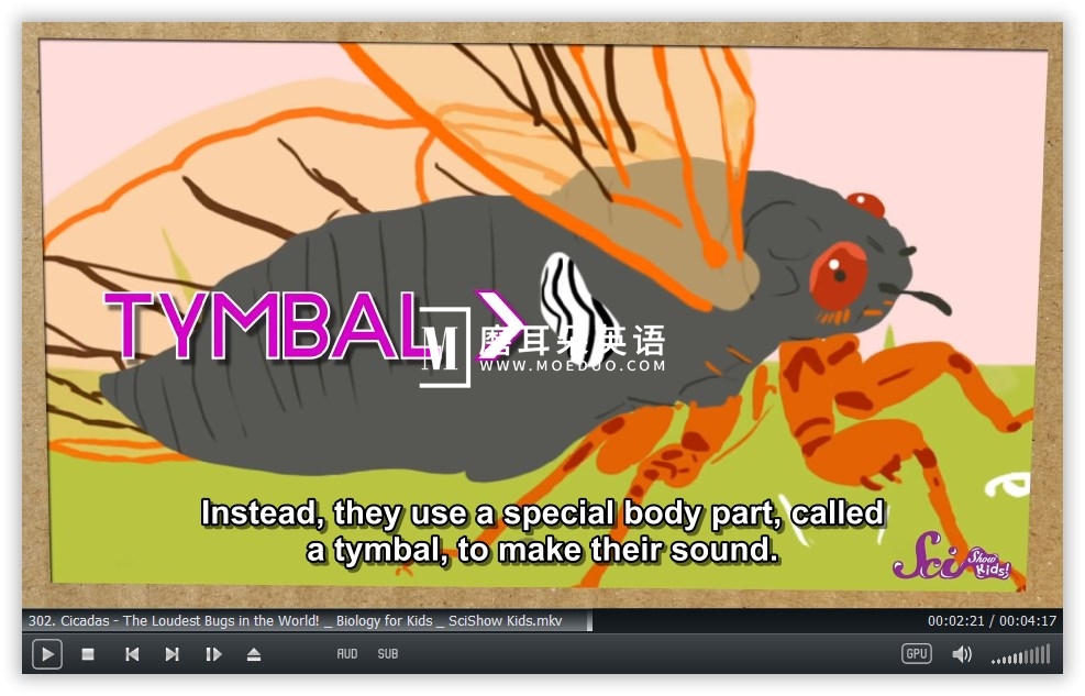 SciShow Kids 美国科学秀 图片6 SciShow Kids 美国科学秀 图片5