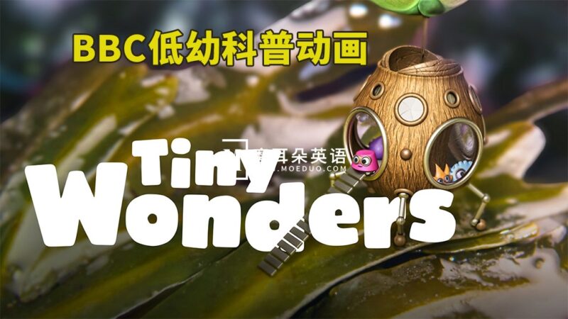 BBC英文科普动画《Tiny Wonders 小奇迹》全1-5季共51集，教你学会观察、探索自然界小奇观！1080P高清视频带英文字幕，百度网盘下载！ - 磨耳朵英语