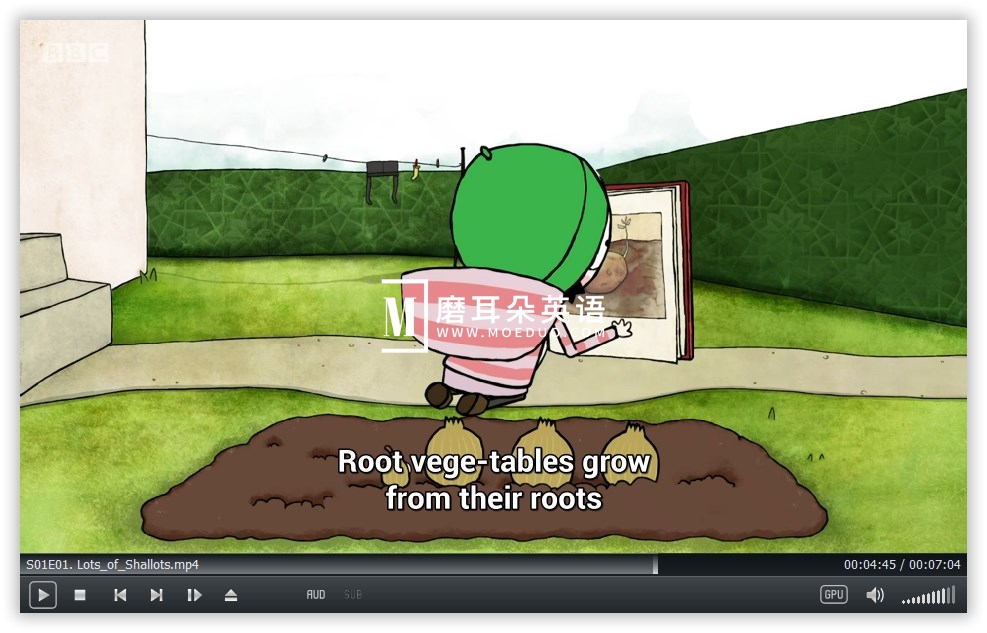 Sarah and Duck 莎拉和小鸭子 图片9