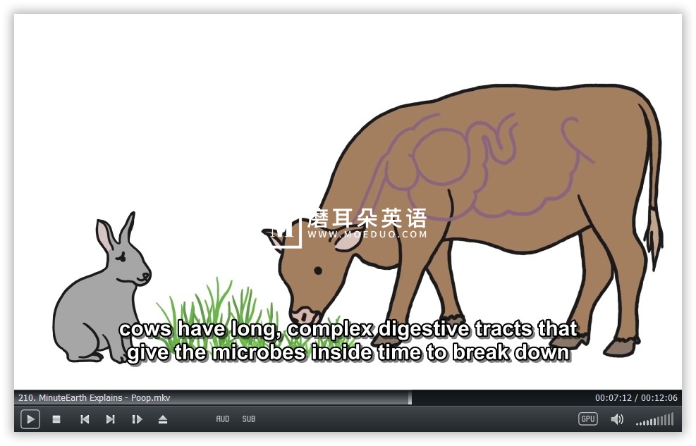 MinuteEarth 分钟地球 图片21