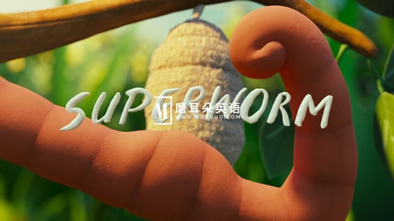 BBC优秀英文短篇动画《Superworm 超级蠕虫》带英文字幕+中英文字幕，百度网盘下载！ - 磨耳朵英语