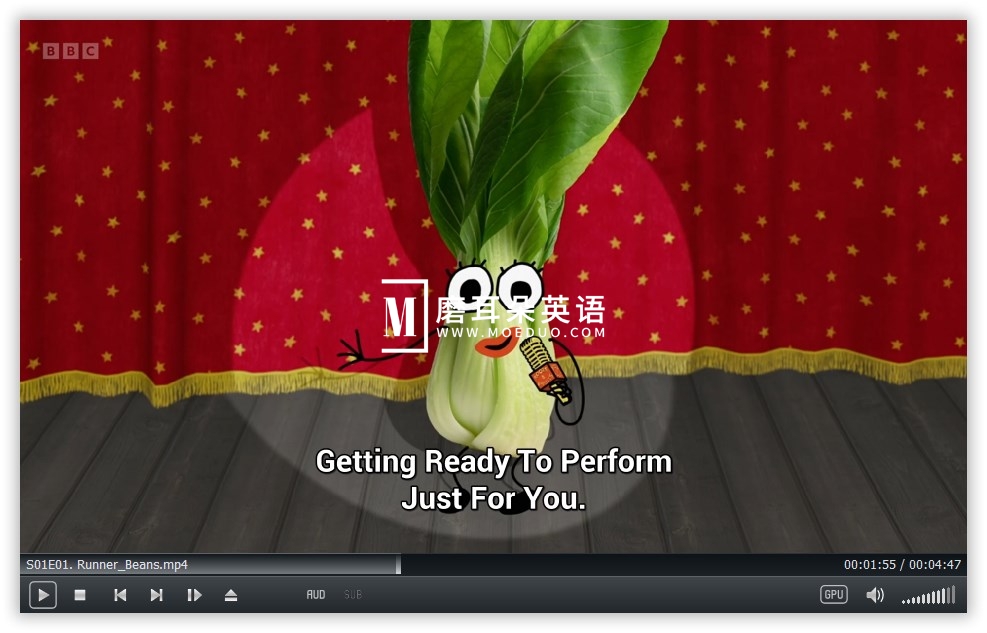 Roots and Fruits 图片5