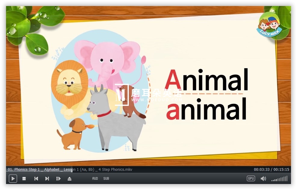 4 Step Phonics 自然拼读 图片5