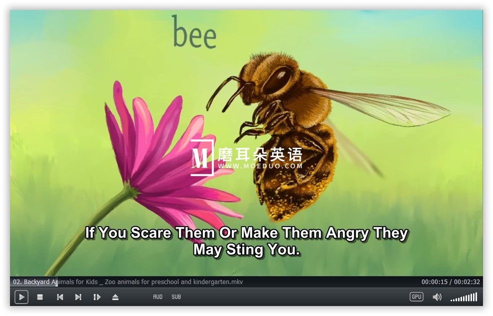 Socratica Kids 图片4 Socratica Kids 图片3