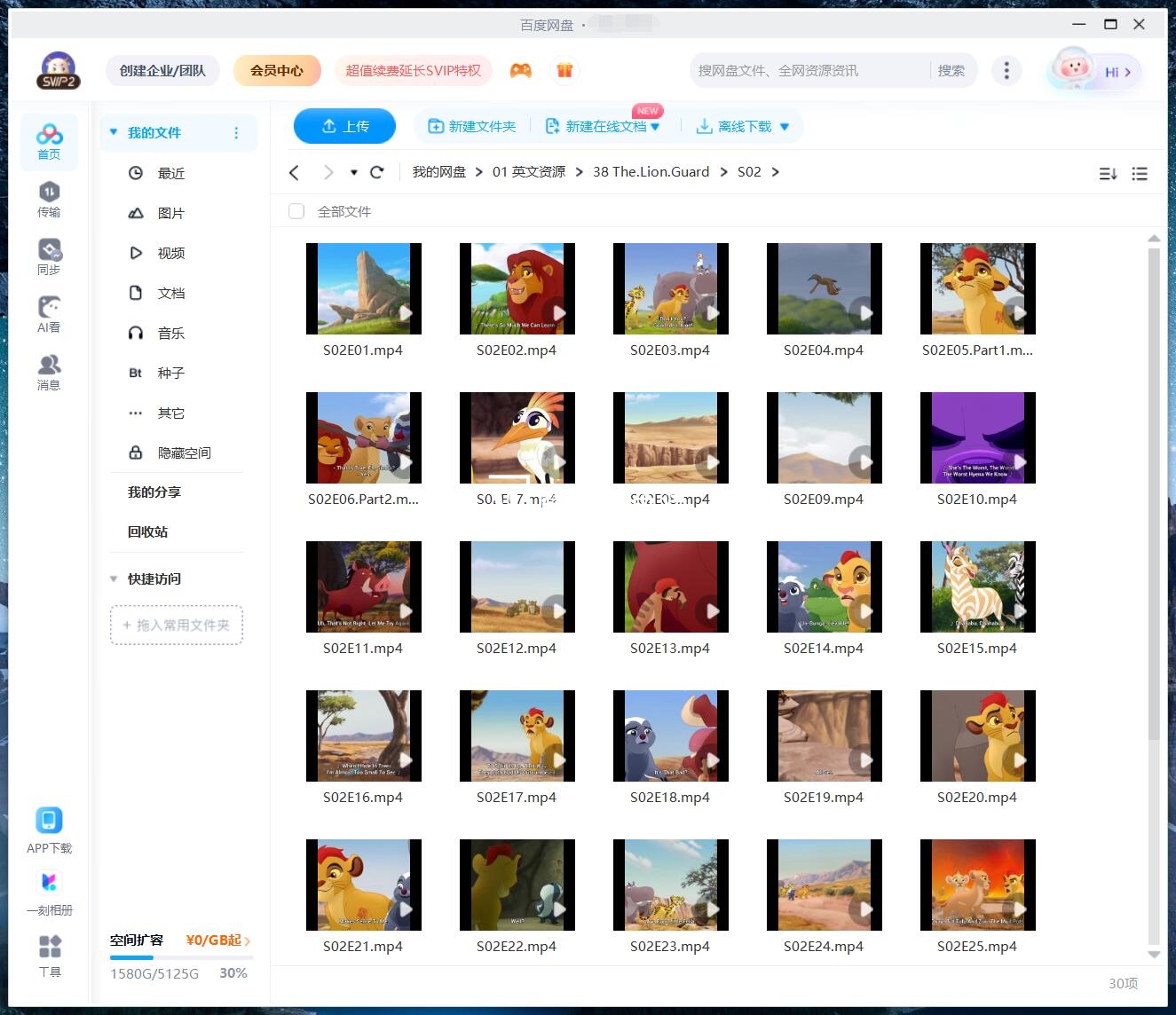 The Lion Guard 小狮王护卫队 狮子护卫队 图片13