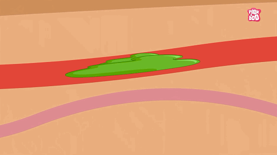 Dr. Binocs Show 百诺博士秀 图片8 Dr. Binocs Show 百诺博士秀 图片7