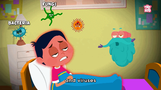 Dr. Binocs Show 百诺博士秀 图片6 Dr. Binocs Show 百诺博士秀 图片5