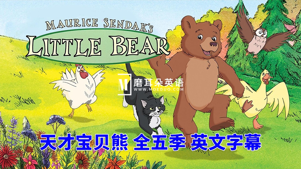 Little Bear 天才宝贝熊 图片1
