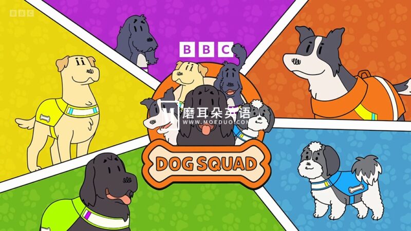 BBC寓教于乐儿童节目《Dog Squad》全1-3季共55集,了解不同类型工作犬,1080P高清视频带英文字幕,百度网盘下载! - 磨耳朵英语