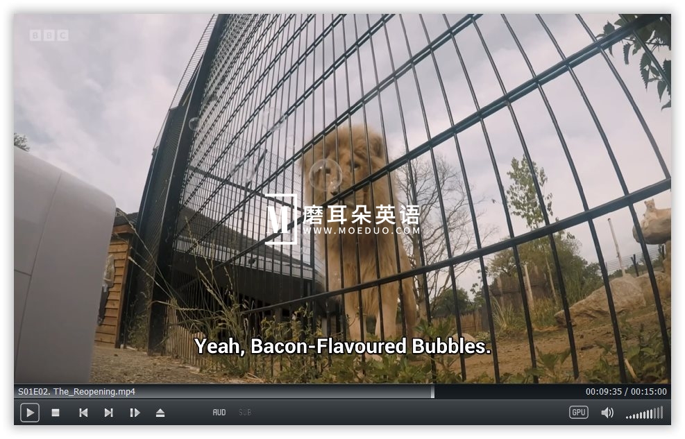 One Zoo Three 三兄弟动物园 图片7