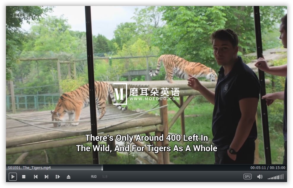 One Zoo Three 三兄弟动物园 图片5