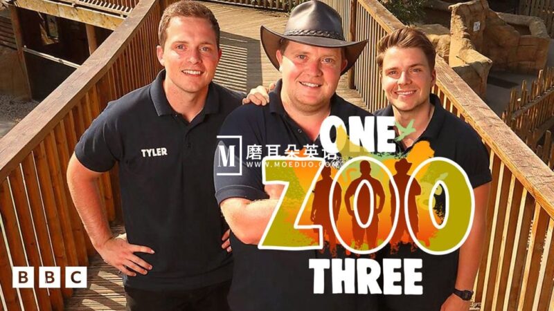 BBC儿童节目《One Zoo Three 三兄弟动物园》全五季共56集，1080P高清视频带英文字幕，百度网盘下载！ - 磨耳朵英语