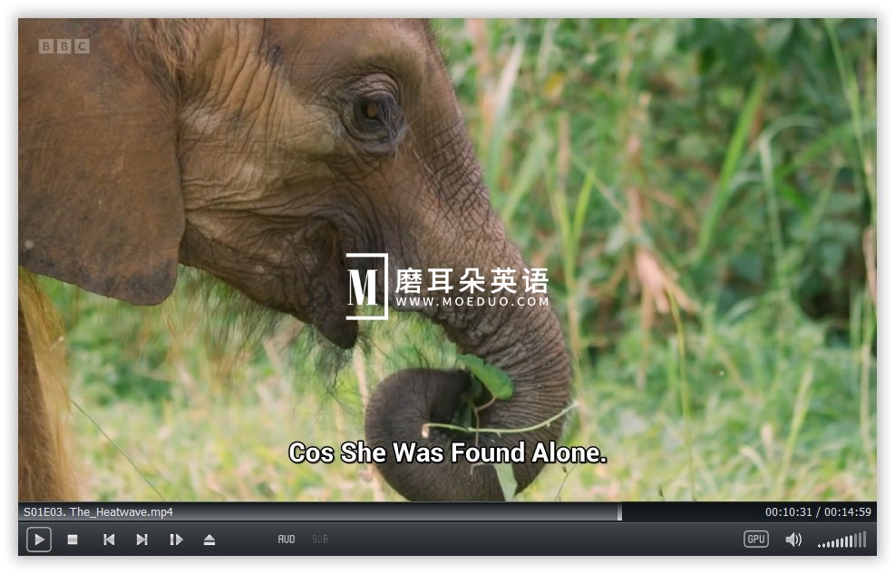 One Zoo Three 三兄弟动物园 图片11