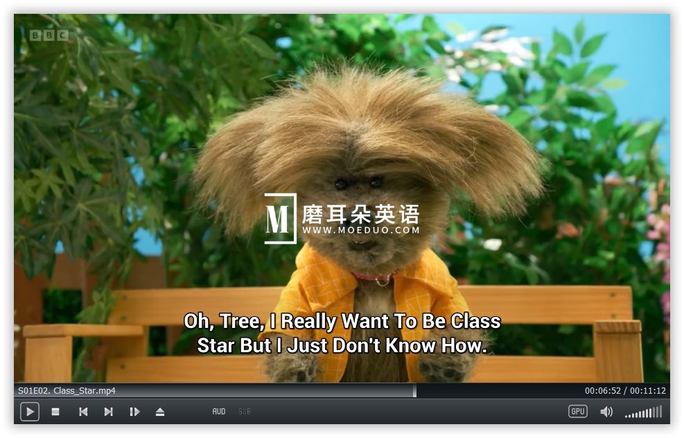 Dodges Pup School 图片15