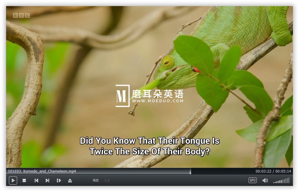 Go Wild 图片8 Go Wild 图片7