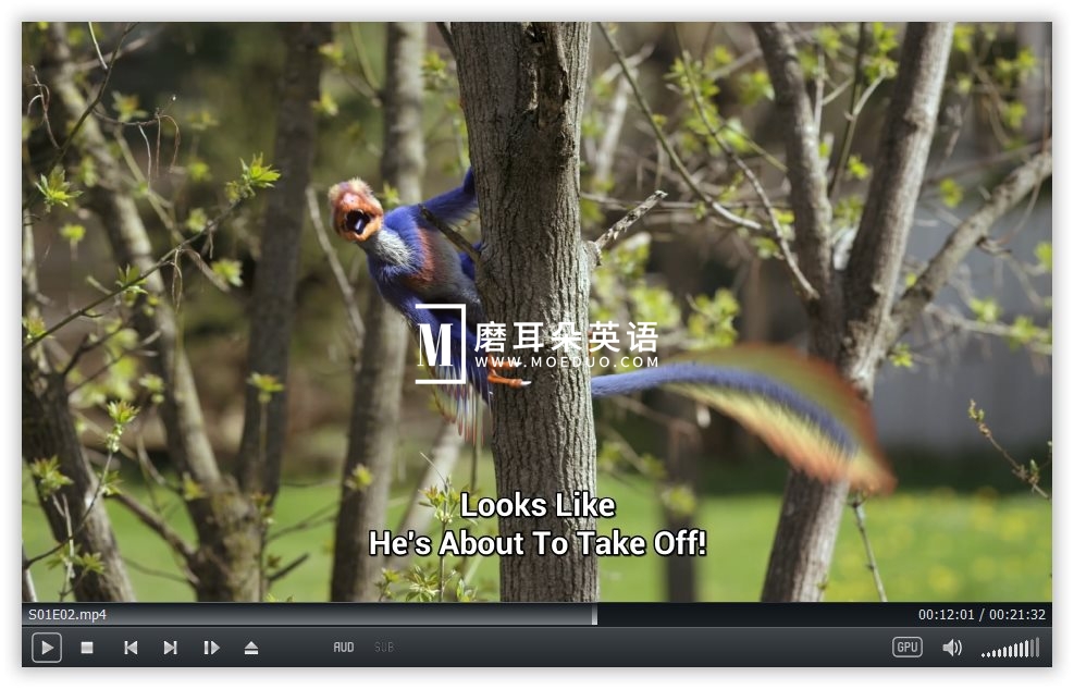 Dino Dana 恐龙达娜 图片6 Dino Dana 恐龙达娜 图片5