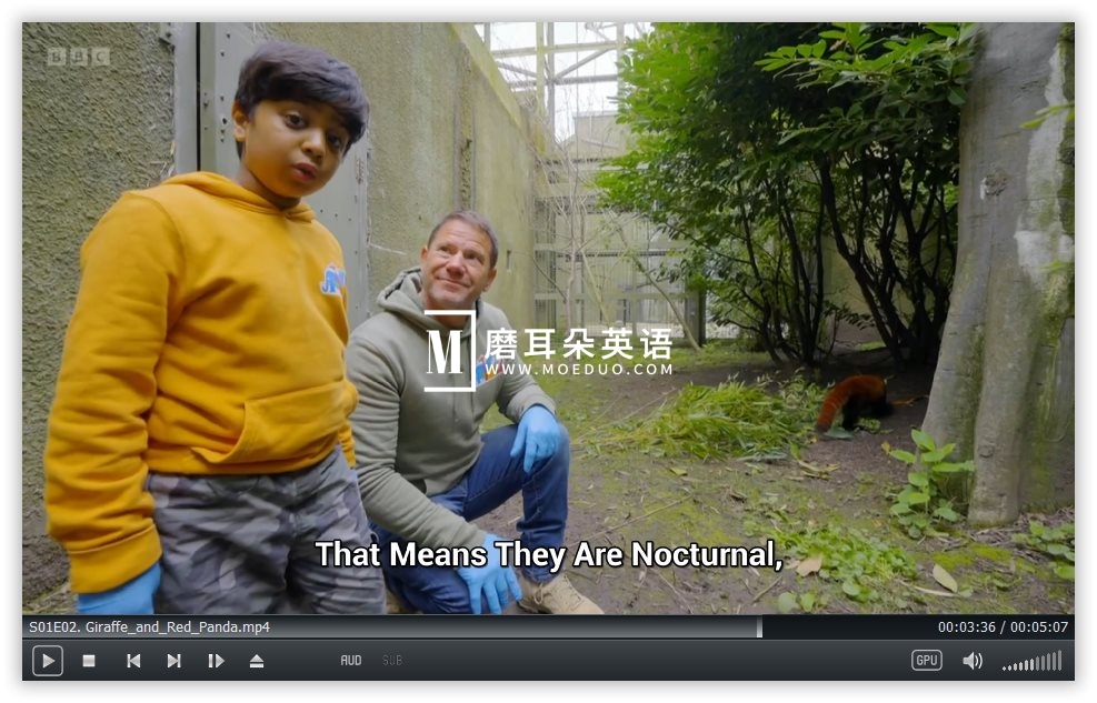 Go Wild 图片6 Go Wild 图片5