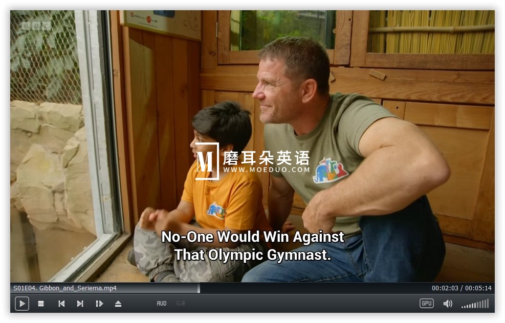 Go Wild 图片10 Go Wild 图片9