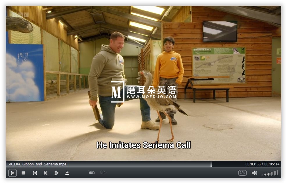 Go Wild 图片12 Go Wild 图片11