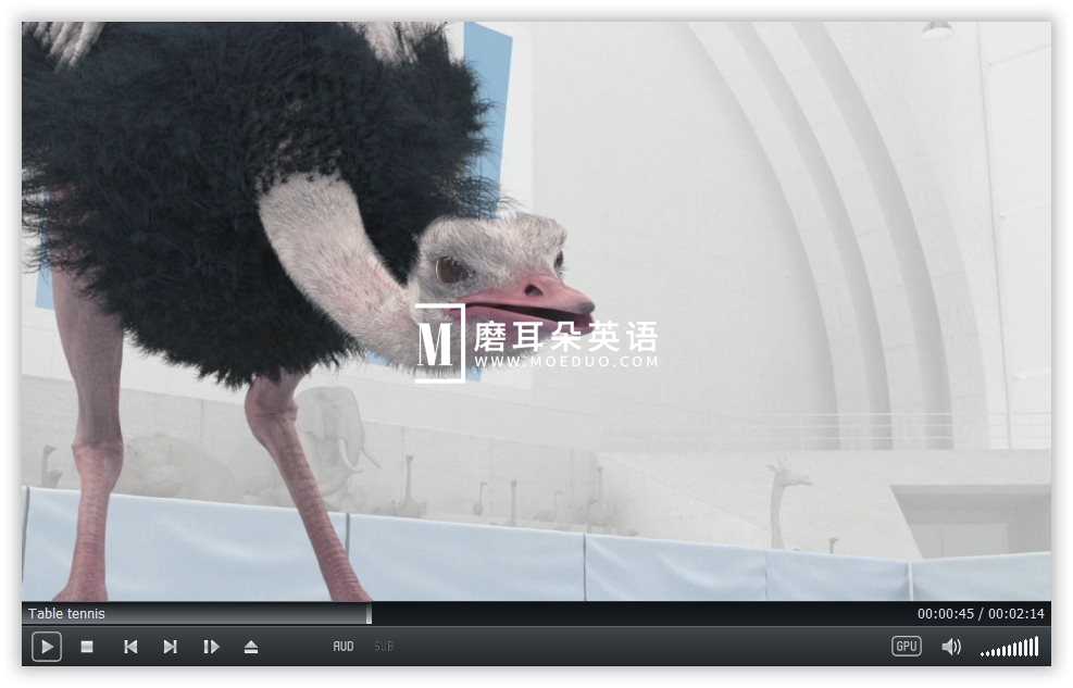 Athleticus 运动趣事 图片6 Athleticus 运动趣事 图片5