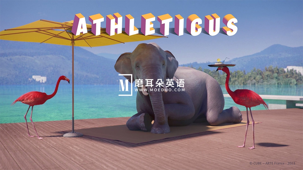 Athleticus 运动趣事 图片2 Athleticus 运动趣事 图片1