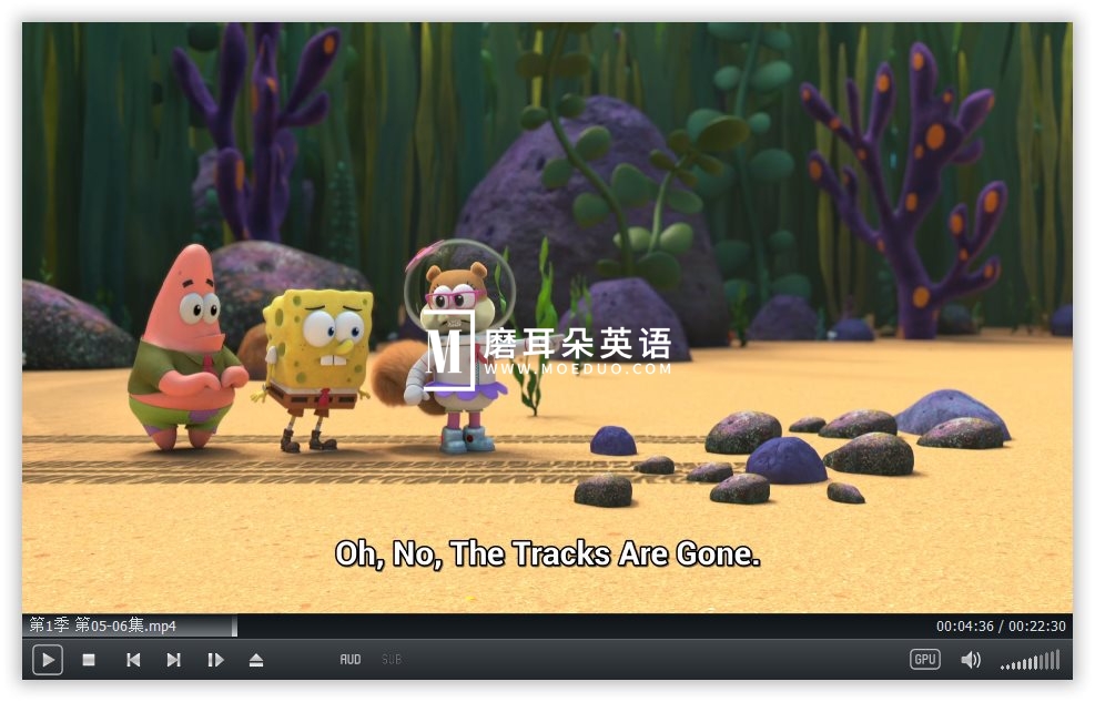 Kamp Koral 图片12 Kamp Koral 图片11