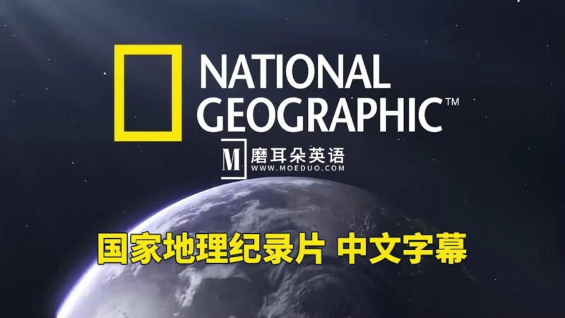 348部英文版《国家地理.纪录片合辑》带srt中文字幕，720P高清视频，百度网盘下载！ - 磨耳朵英语