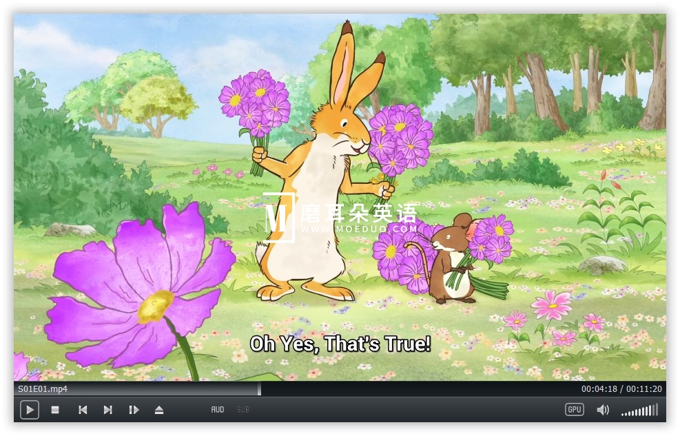 Guess How Much I Love You 猜猜我有多爱你 图片9