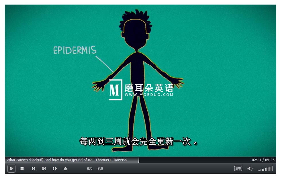TED-Ed 图片9