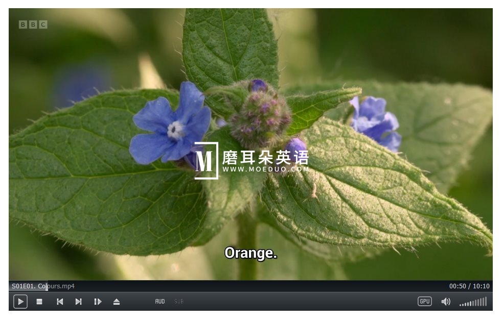 I Can Grow It 图片3