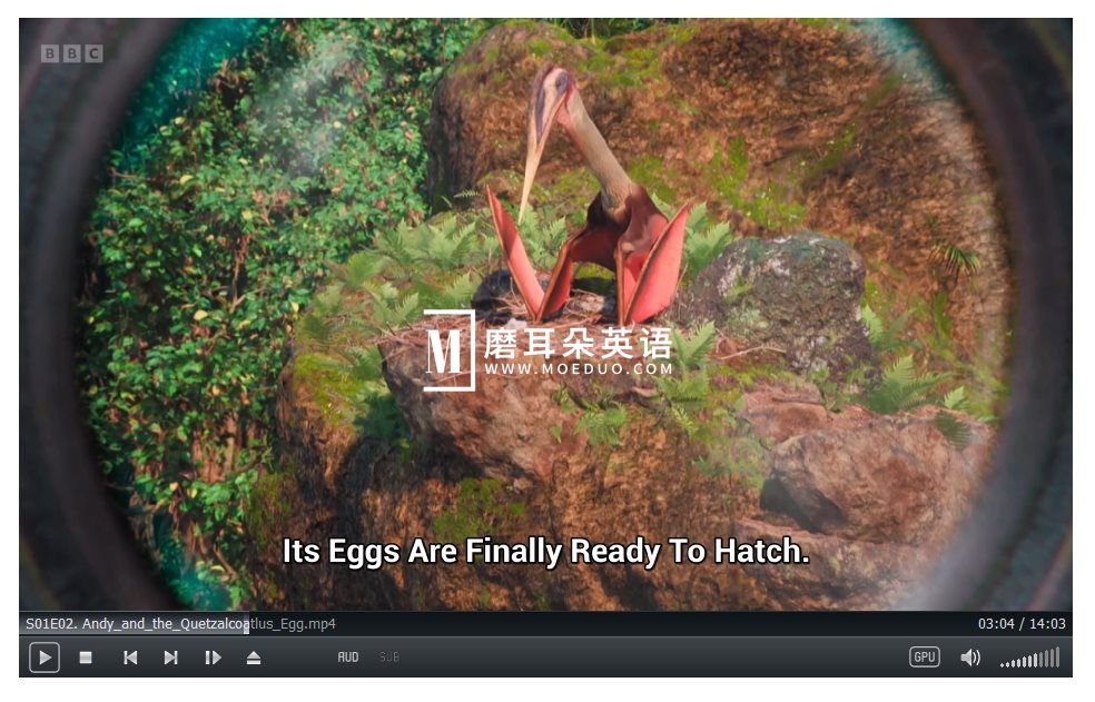 Andy's Dino Island 安迪的恐龙岛 图片19